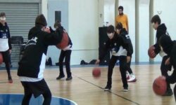 Το ΠΑΟΚ Junior Basketball Program στην εκδήλωση του Πανεπιστημίου Μακεδονίας (Τμήμα Εκπαιδευτικής και Κοινωνικής Πολιτικής) με αφορμή την Παγκόσμια Ημέρα Ατόμων με Αναπηρία.  (03.12.2017, fb φωτορεπορτάζ)